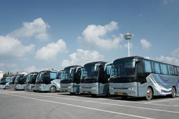 �L(zh��ng);���\(y��n)